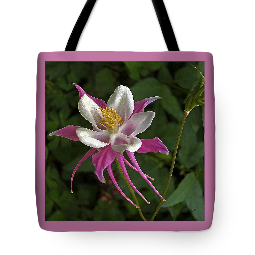 Pink Flower Tote Bag featuring the photograph Pink Columbine Flower by Ben and Raisa Gertsberg