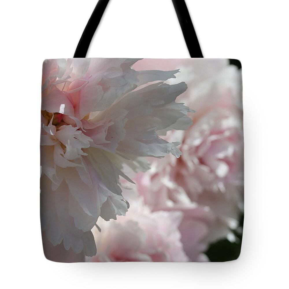 Peony Tote Bag featuring the photograph Pink Confection by Ruth Kamenev