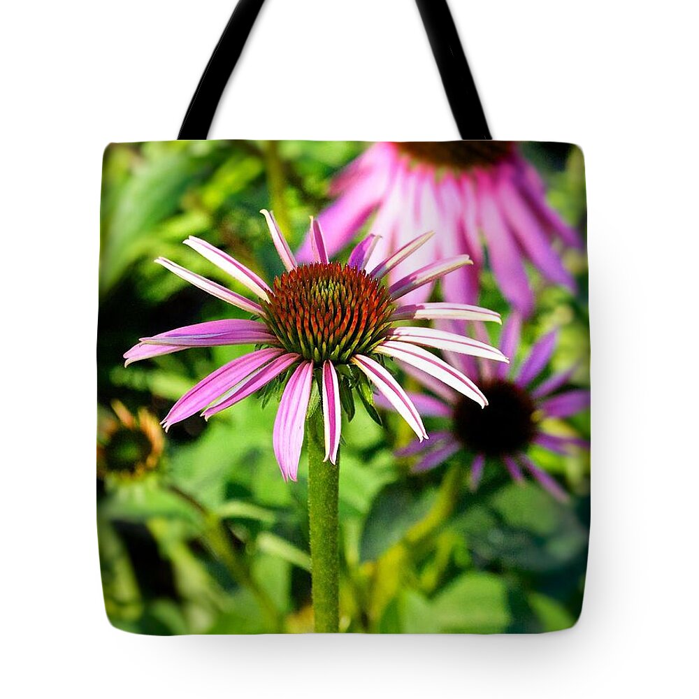 Fredericksburg Tote Bag featuring the photograph Pink Daisy Vertical Photograph by Kristina Deane