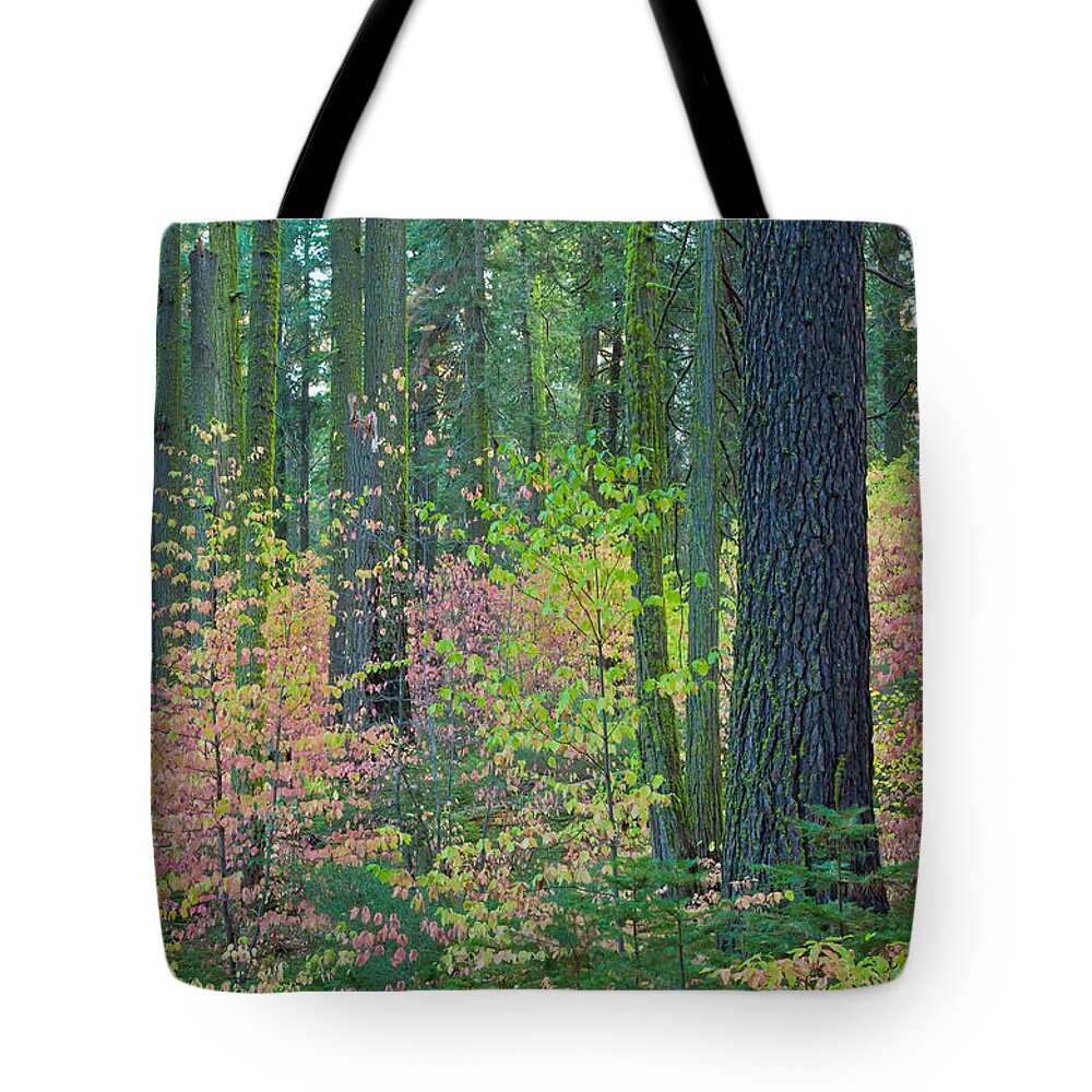 Landscape Tote Bag featuring the photograph Pink Dogwoods by Jonathan Nguyen