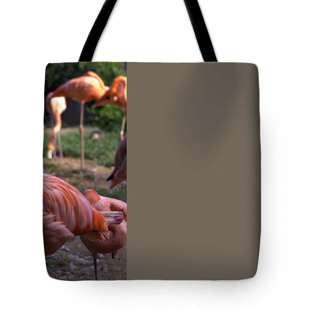 National Zoo Tote Bag featuring the photograph Pink Flamingo by Leah Palmer