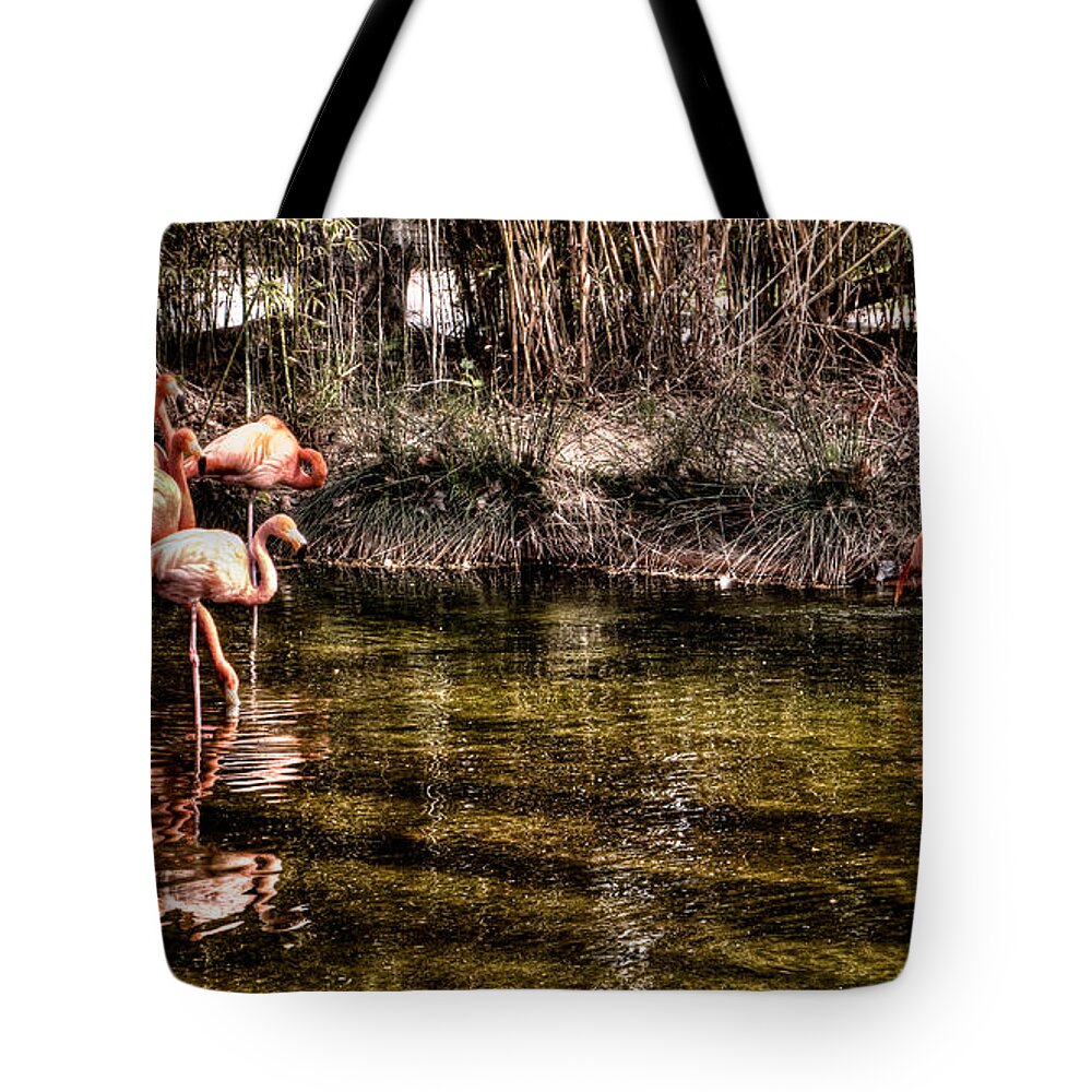 Fauna Tote Bag featuring the photograph Pink Flamingos by Weston Westmoreland