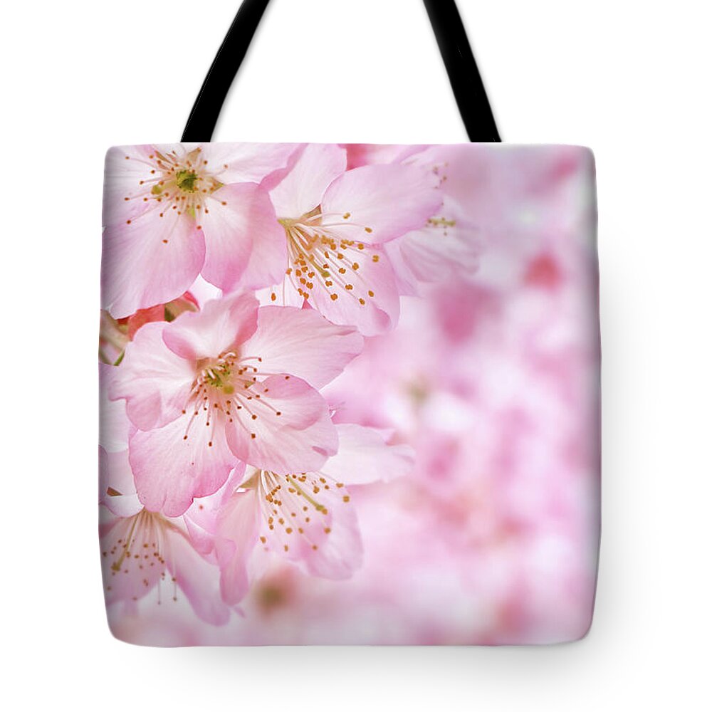 Taiwan Tote Bag featuring the photograph Pink Flowers by Ryo's Photo Work