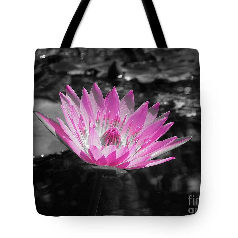 Water Lily Tote Bag featuring the photograph Pink Glow by Chad and Stacey Hall