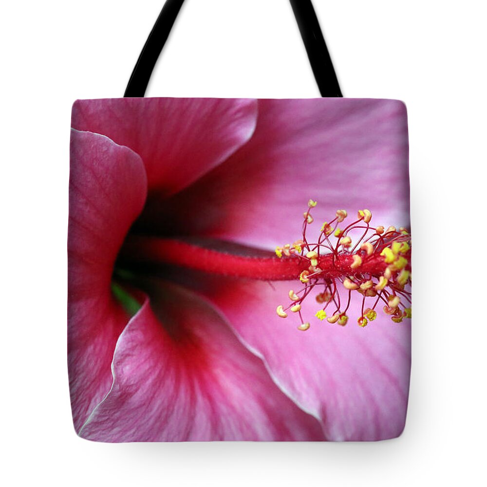 Hibiscus Tote Bag featuring the photograph Pink Hibiscus by Lynn Sprowl