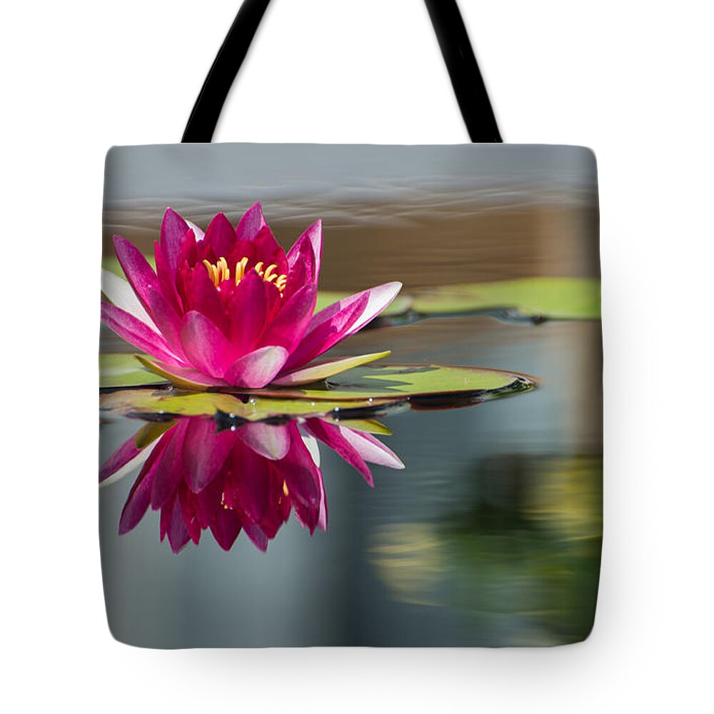 Waterlily Tote Bag featuring the photograph Pink Water Lily by Stacy Abbott