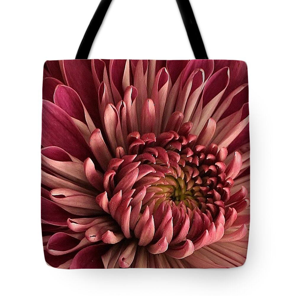Flora Tote Bag featuring the photograph Pink Mum by Bruce Bley