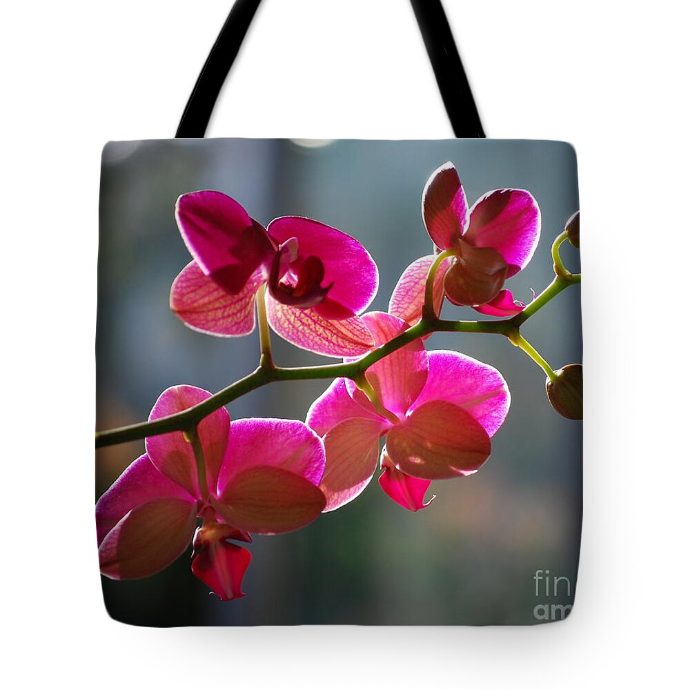 Orchid Tote Bag featuring the photograph Pink Orchid Branch by Nancy Mueller