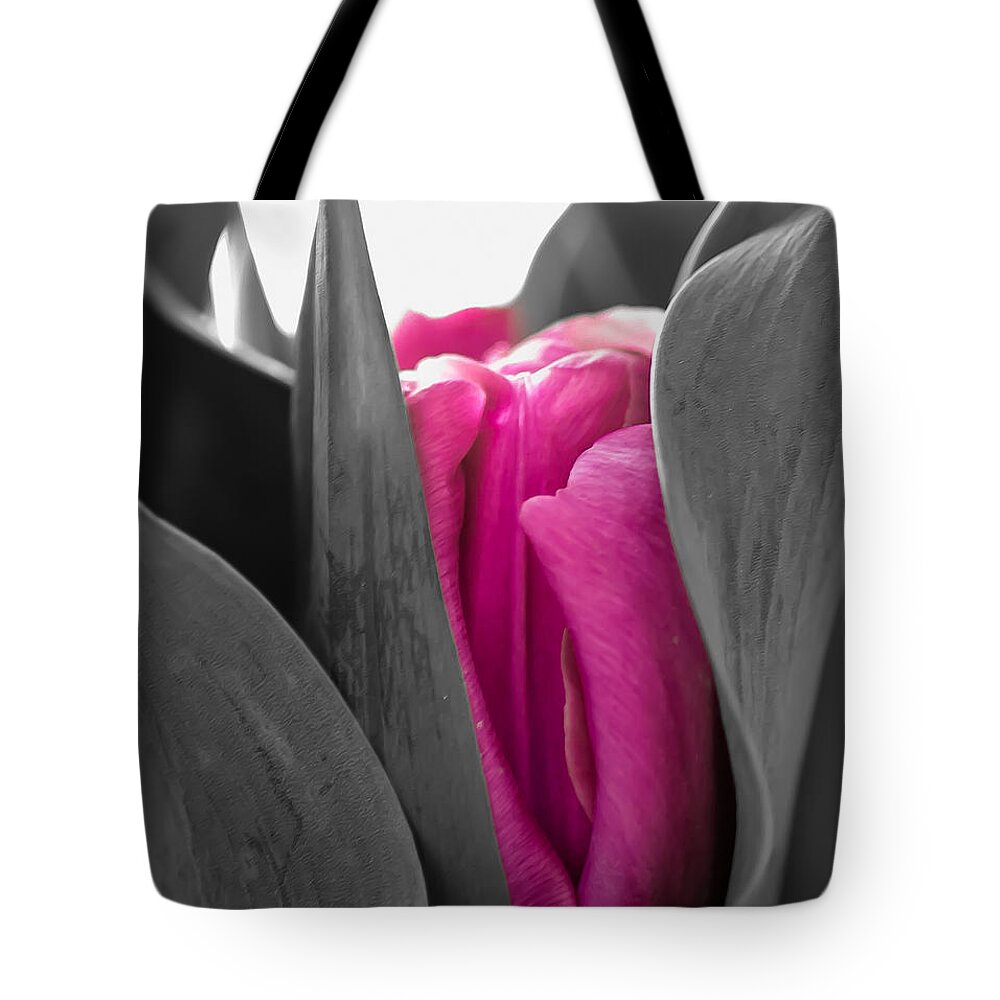 Tulip Tote Bag featuring the photograph Pink Passion by Bianca Nadeau