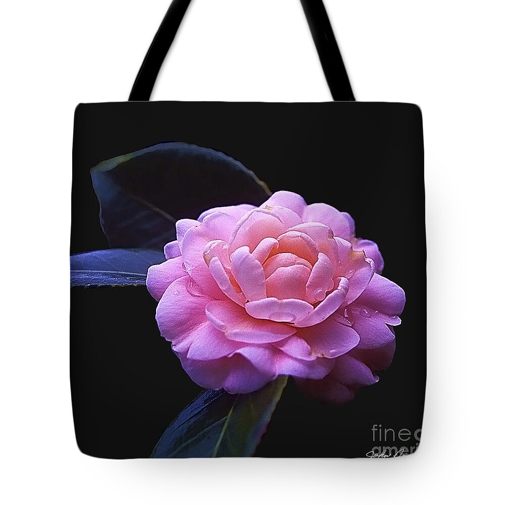 Pink Perfection Tote Bag featuring the photograph Pink Perfection by John Douglas
