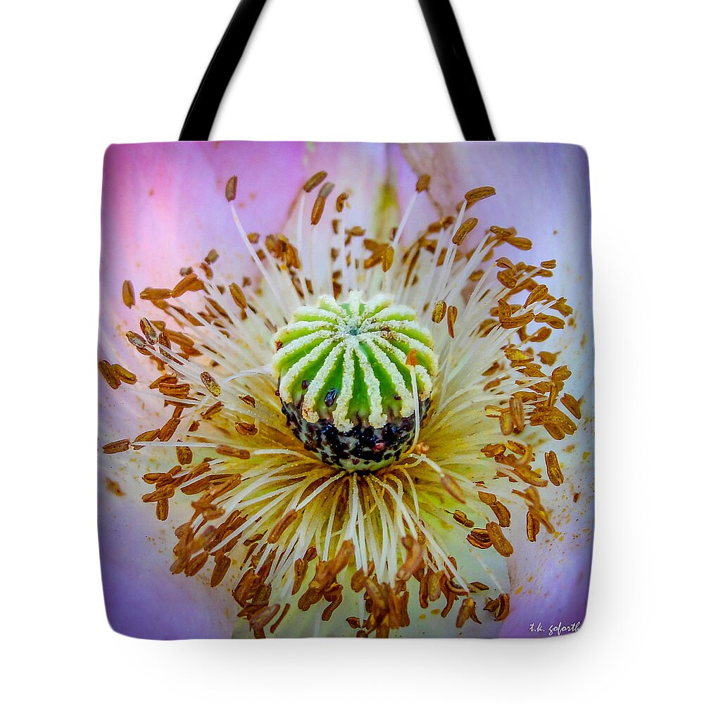 Poppy Tote Bag featuring the photograph Pink Poppy Squared by TK Goforth