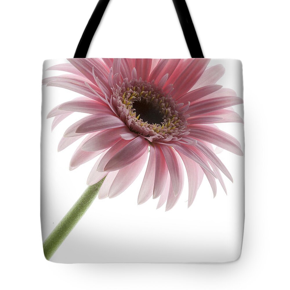 Pink Posey Tote Bag featuring the photograph Pink Posey by Patty Colabuono