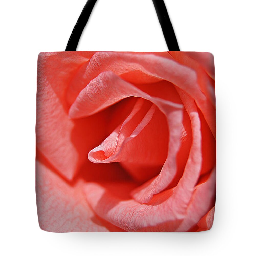 Rose Tote Bag featuring the photograph Pink Rose by Kathy Churchman