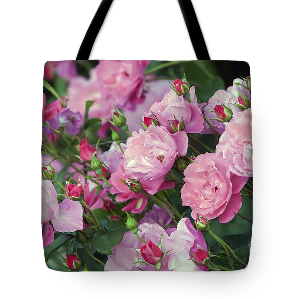Pink Roses Tote Bag featuring the photograph Pink Roses by Sharon Talson