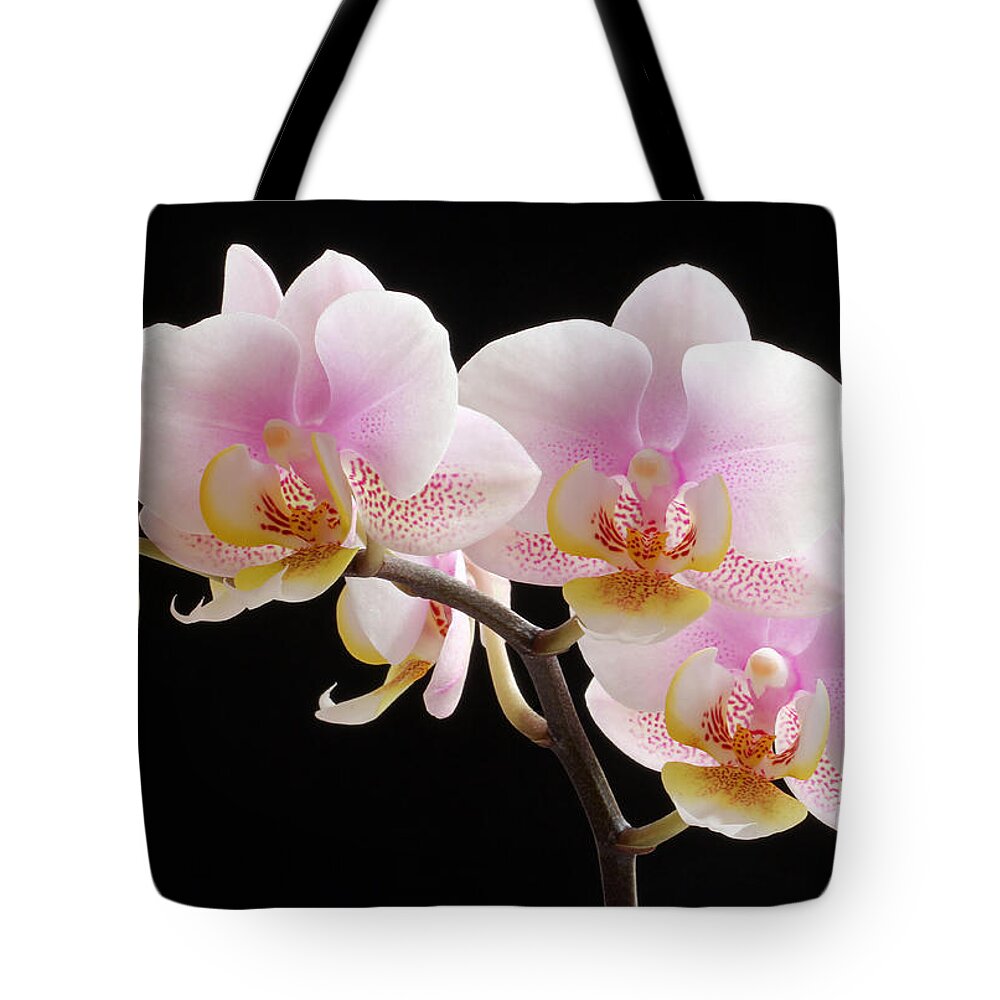 Orchid Tote Bag featuring the photograph Pink Sensations by Juergen Roth