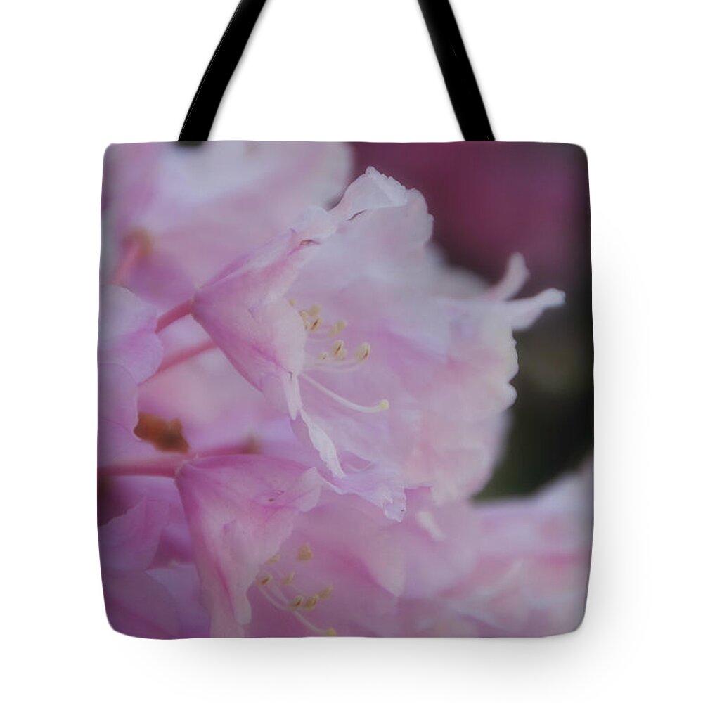 Rhododendron Tote Bag featuring the photograph Pink Softness by Marilyn Wilson