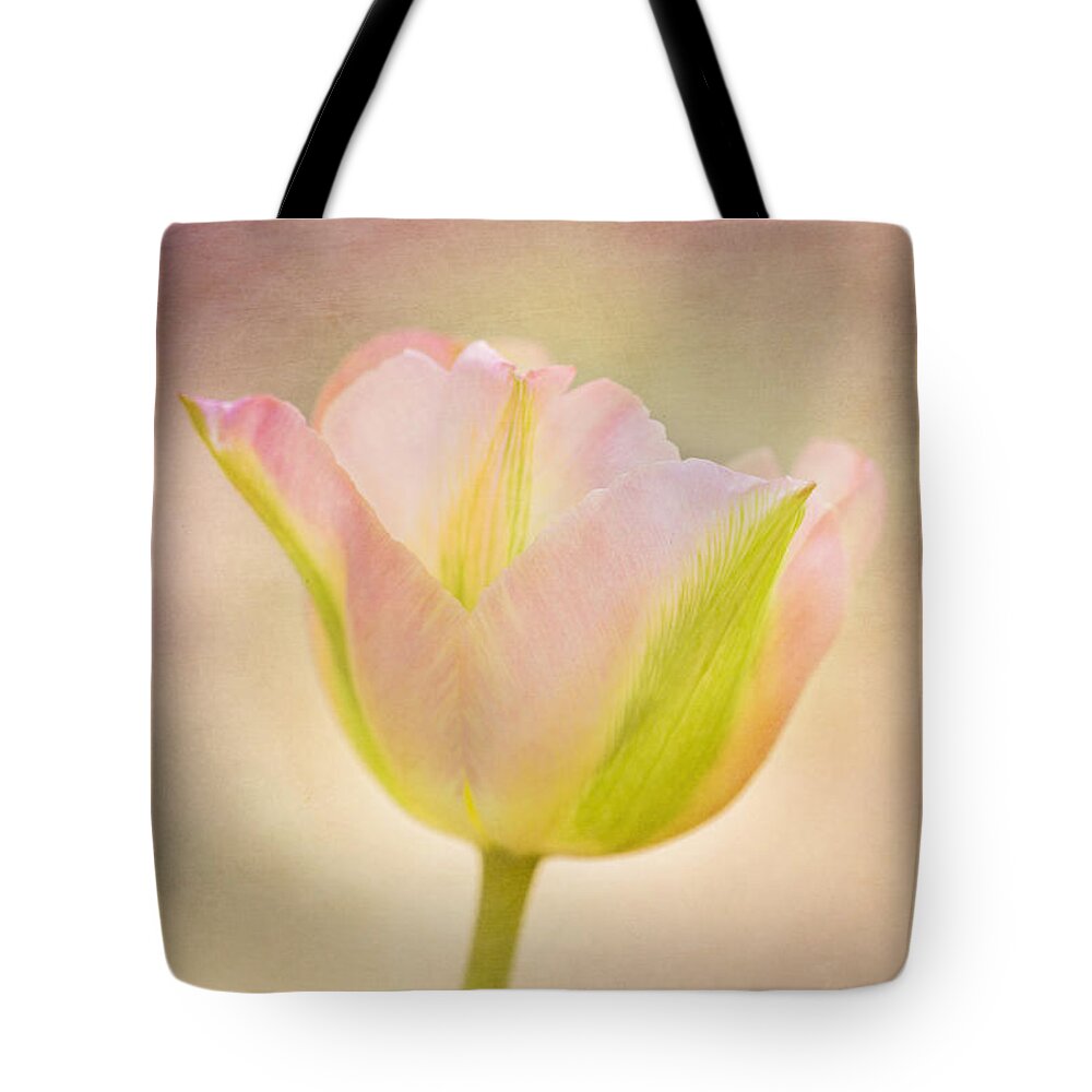 Tulip Tote Bag featuring the photograph Pink Spring Dreams by Mary Jo Allen