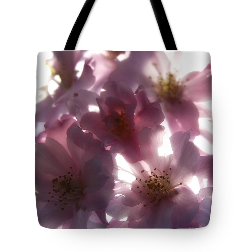 Flower Tote Bag featuring the photograph Pink Sunlight Fusion by Joseph Hedaya