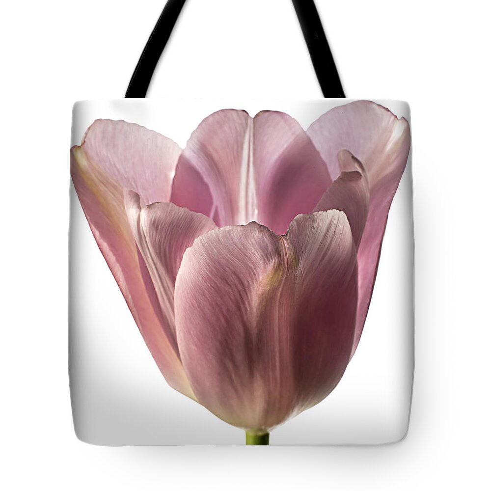 Flower Tote Bag featuring the photograph Pink Tulip 2 by Endre Balogh