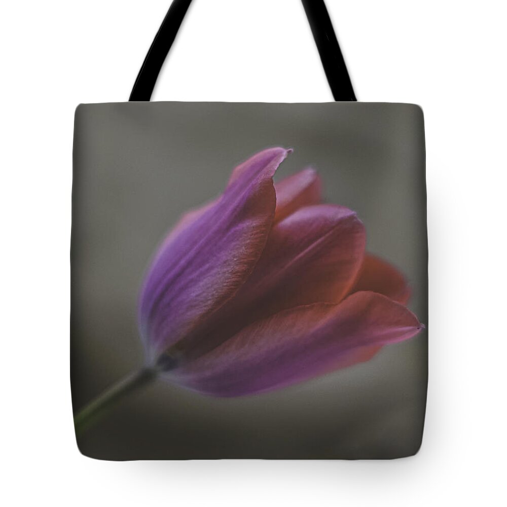 Pink Tulip Tote Bag featuring the photograph Pink Tulip by Ron Roberts