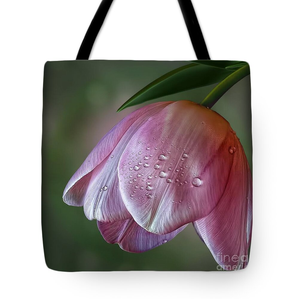 Flower Tote Bag featuring the photograph Pink Tulip by Shirley Mangini