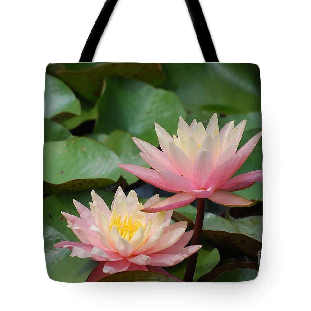 Water Lily Tote Bag featuring the photograph Pink Water Lilies by DejaVu Designs