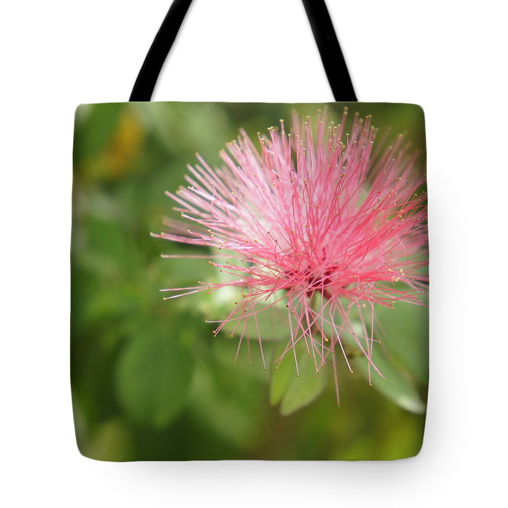 Pink Bottle Brush Tote Bag featuring the photograph Pink Wisps by Laurie Perry