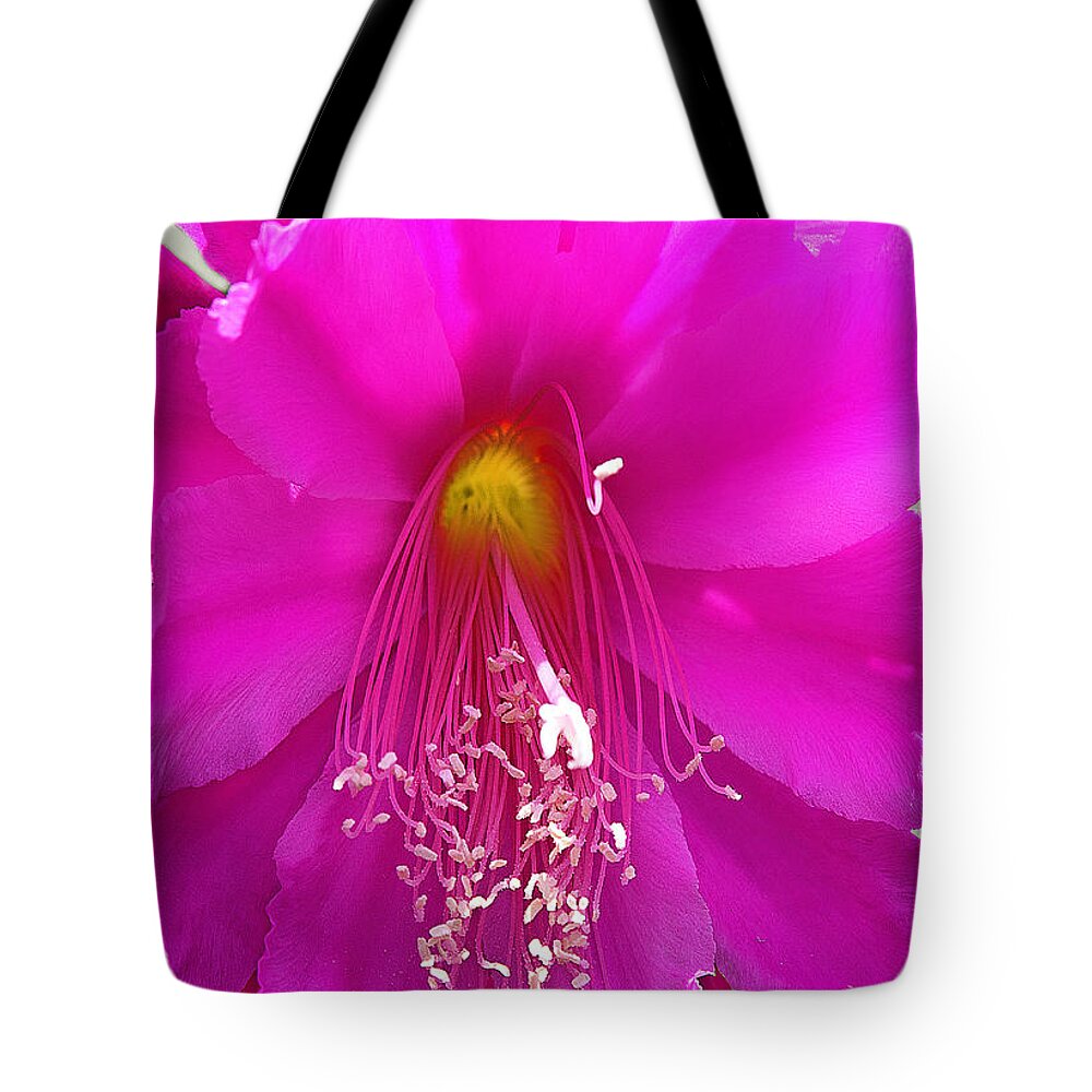 Pinkle Twinkle Little Star Tote Bag featuring the photograph Pinkle Twinkle Little Star by Viktor Savchenko