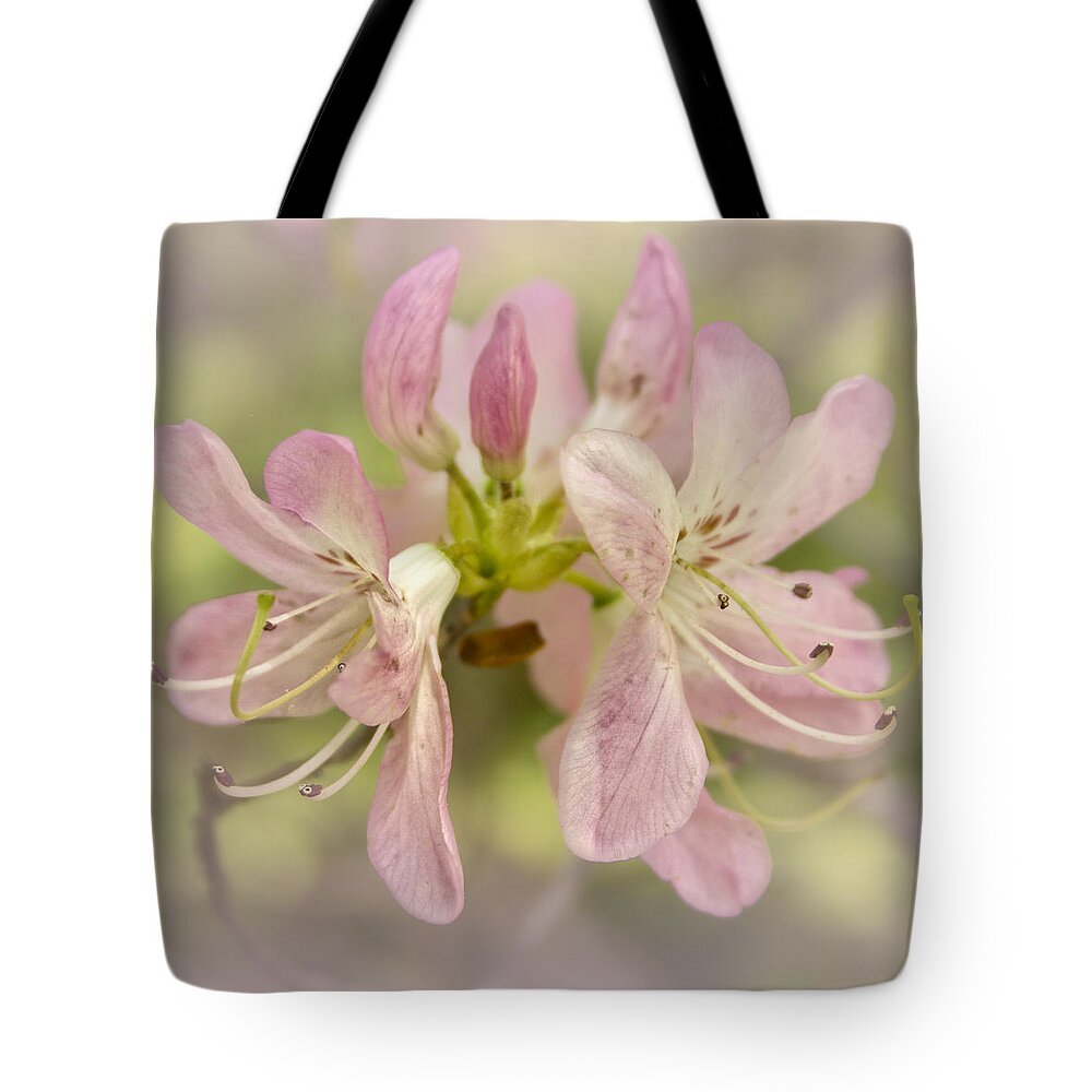 Canon T3i Tote Bag featuring the photograph Pinkshell Azalea by Ben Shields