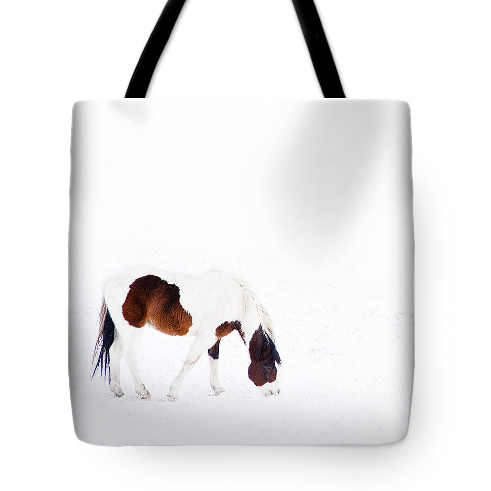 Small Horse Tote Bag featuring the photograph Pinto Pony by Theresa Tahara