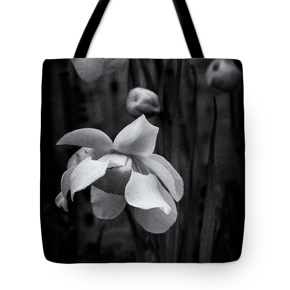 Beautiful Tote Bag featuring the photograph Pitcher Plant Flower by Venetta Archer