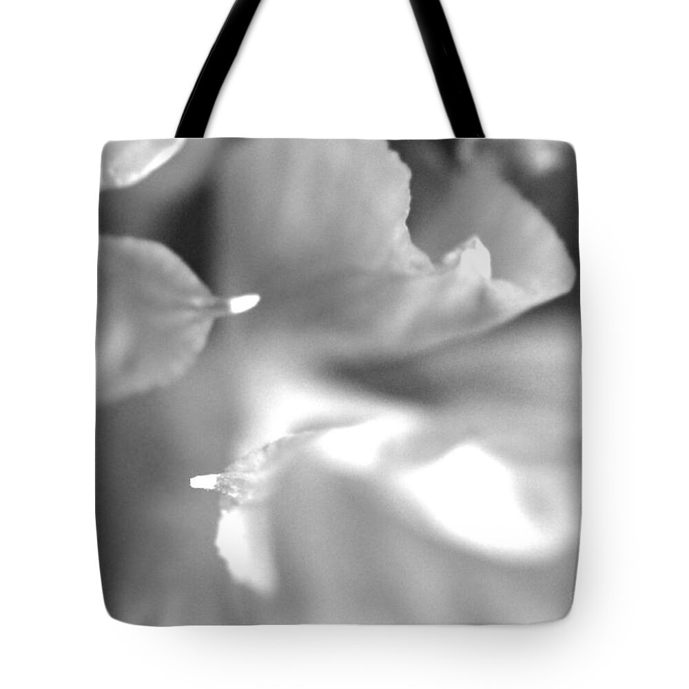 New Growth Tote Bag featuring the photograph Placing Blame Limited Edition Bodecoarts by Robin Lewis