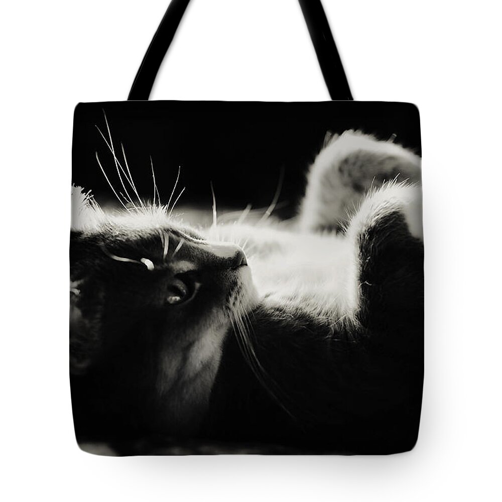 Cat Tote Bag featuring the photograph Play Time by Jenny Rainbow