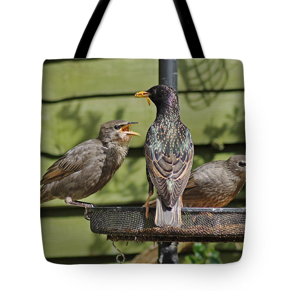 Starling Tote Bag featuring the photograph Please feed me. by Tony Murtagh