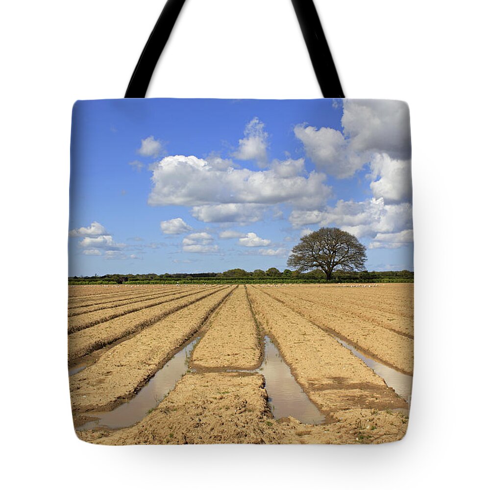 Ploughed Field Uk English British Landscape Countryside Furrow Tracks Converging Lines Earth Agriculture Farming Farmland Fertile Oak Fluffy Clouds Blue Sky Summer Tote Bag featuring the photograph Ploughed Field by Julia Gavin