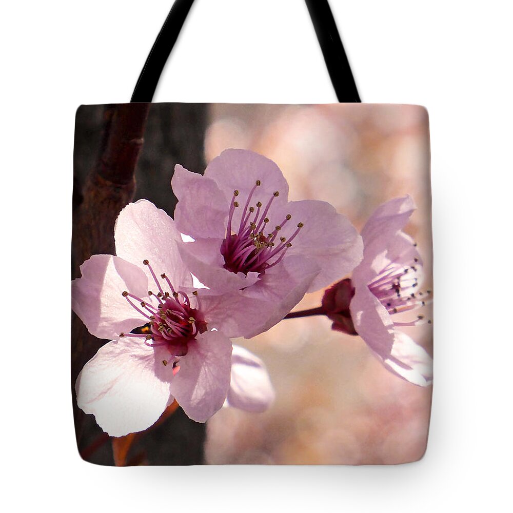 Plum Blossoms Tote Bag featuring the photograph Plum Blossoms by Rona Black