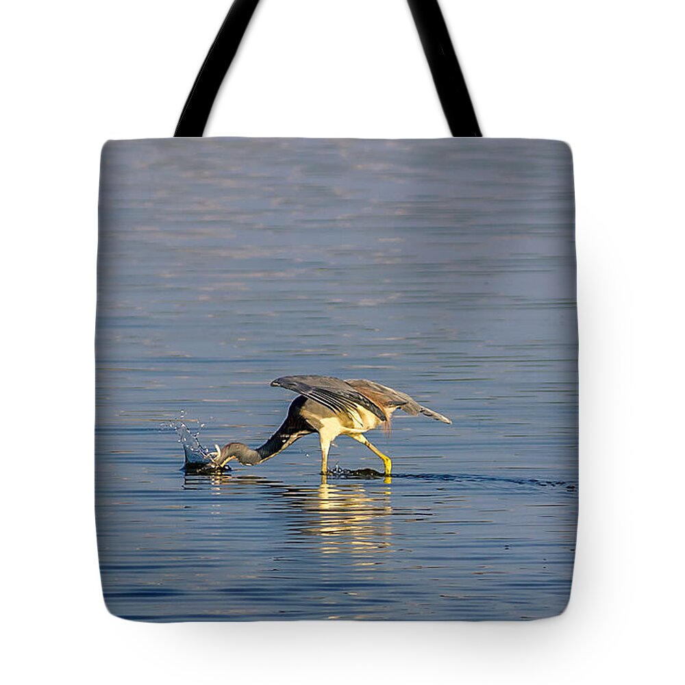 America Tote Bag featuring the photograph Plunk by Traveler's Pics