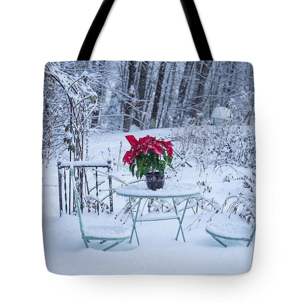 Poinsettia Tote Bag featuring the photograph Poinsettia in the Snow by Alana Ranney