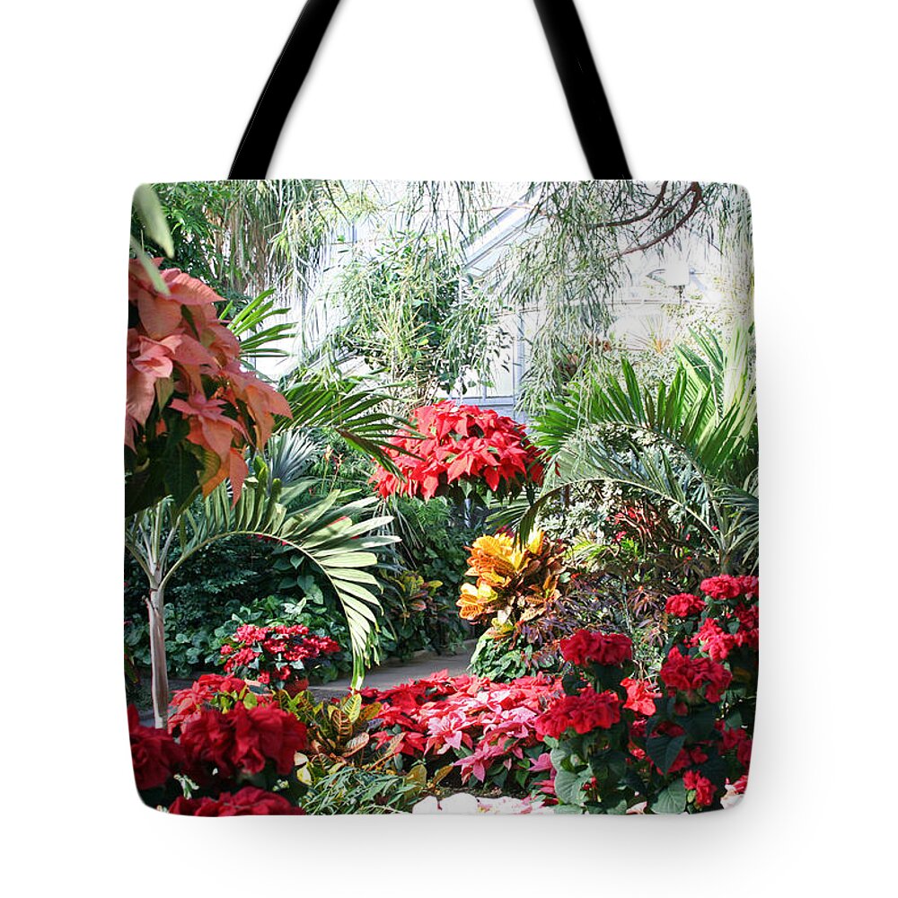 Planting Field Arboretum Tote Bag featuring the photograph Poinsettias by Karen Silvestri