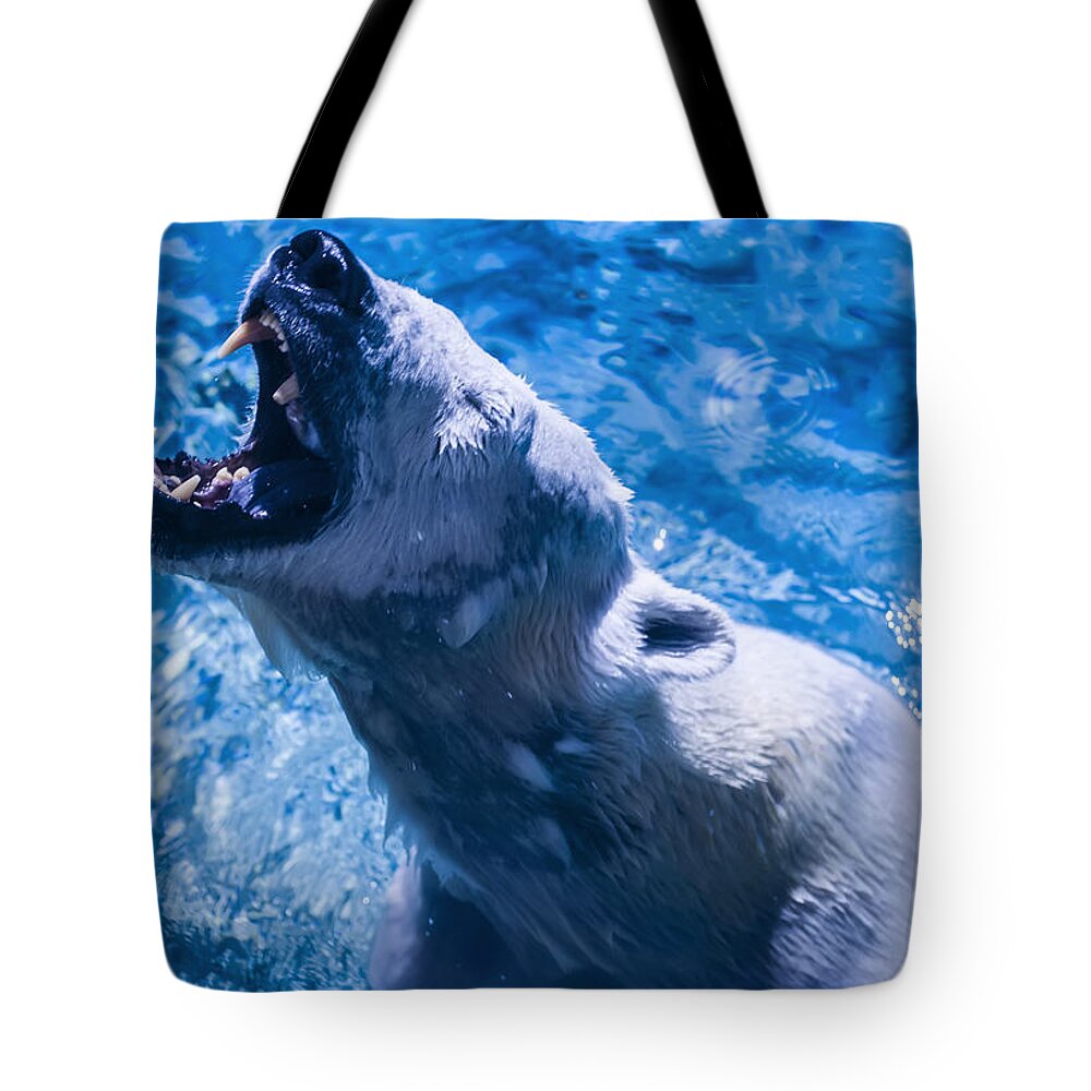 Polar Bears Tote Bag featuring the photograph Polar Bear by Flees Photos