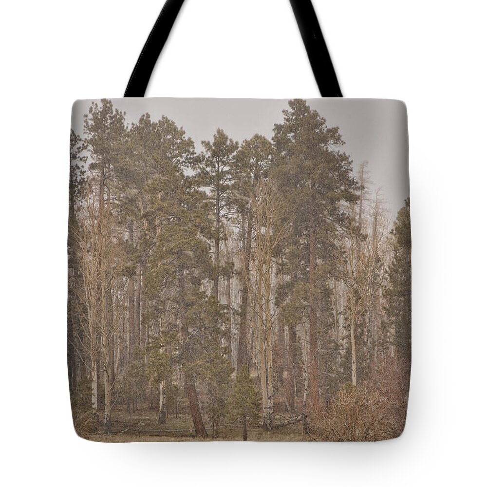 Aspen Tote Bag featuring the photograph Pole Knoll by Donna Greene
