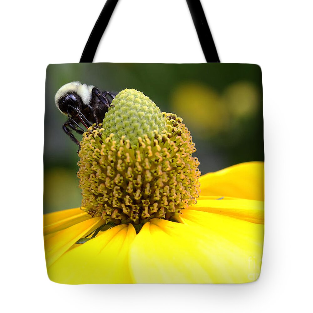 Pollination Tote Bag featuring the photograph Pollination by Rick Kuperberg Sr