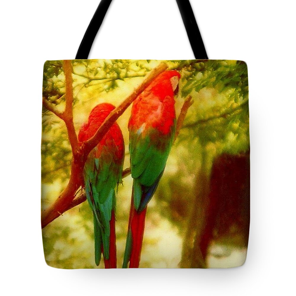 Nola Tote Bag featuring the photograph New Orleans Polly Wants Two Crackers At New Orleans Louisiana Zoological Gardens by Michael Hoard