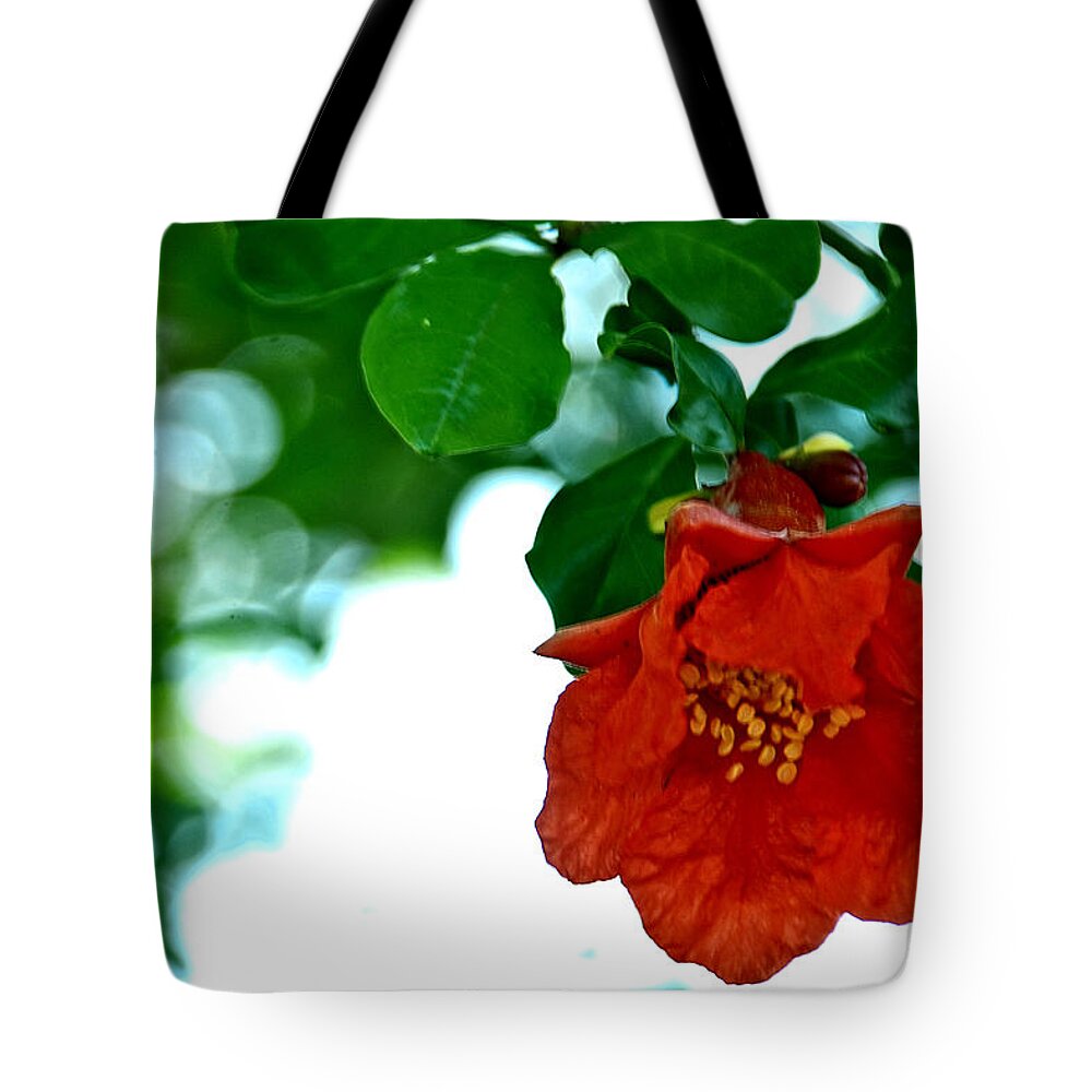 Landscape Tote Bag featuring the photograph Pomegranate blossom by John Bennett