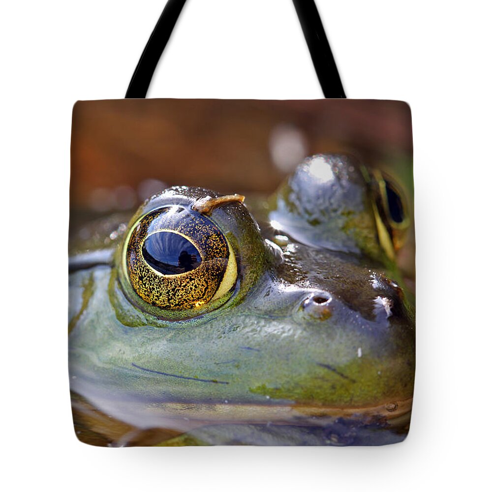Frog Tote Bag featuring the photograph Pond Celebrity by Juergen Roth