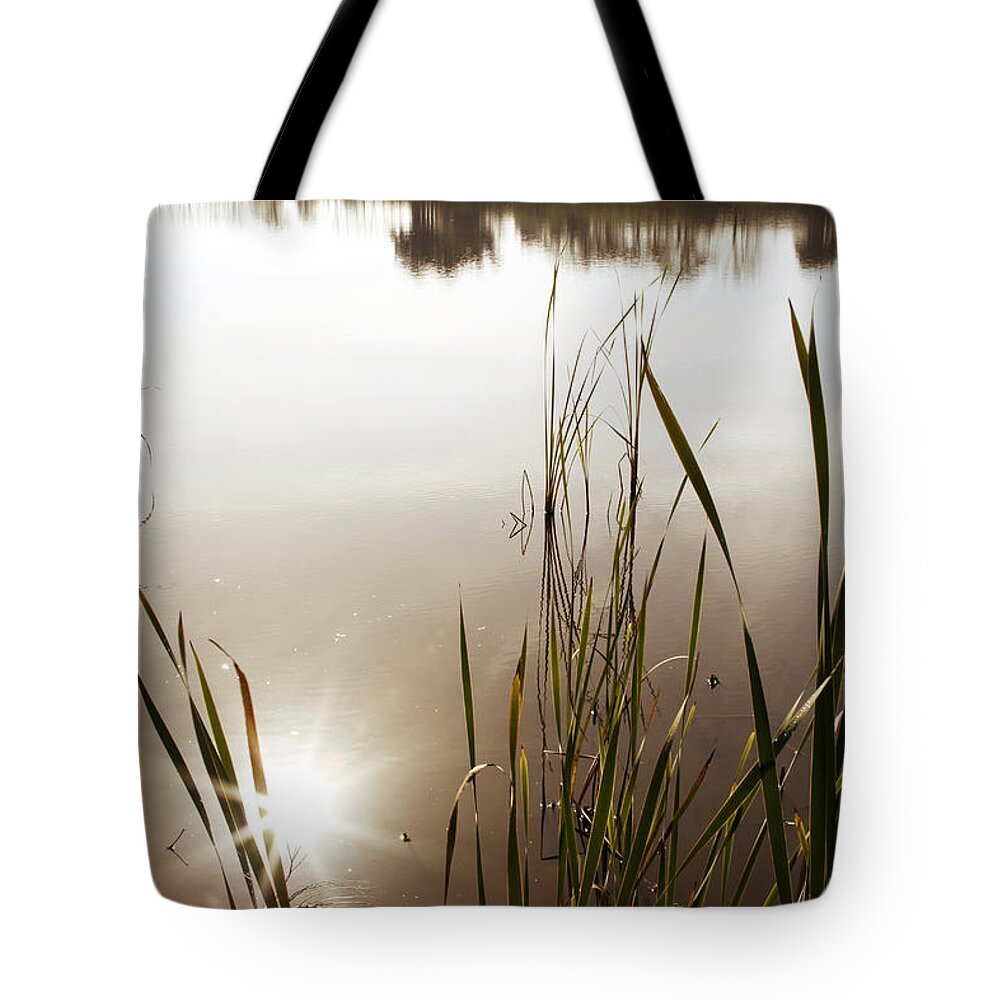 Water Tote Bag featuring the photograph Pond by Les Cunliffe