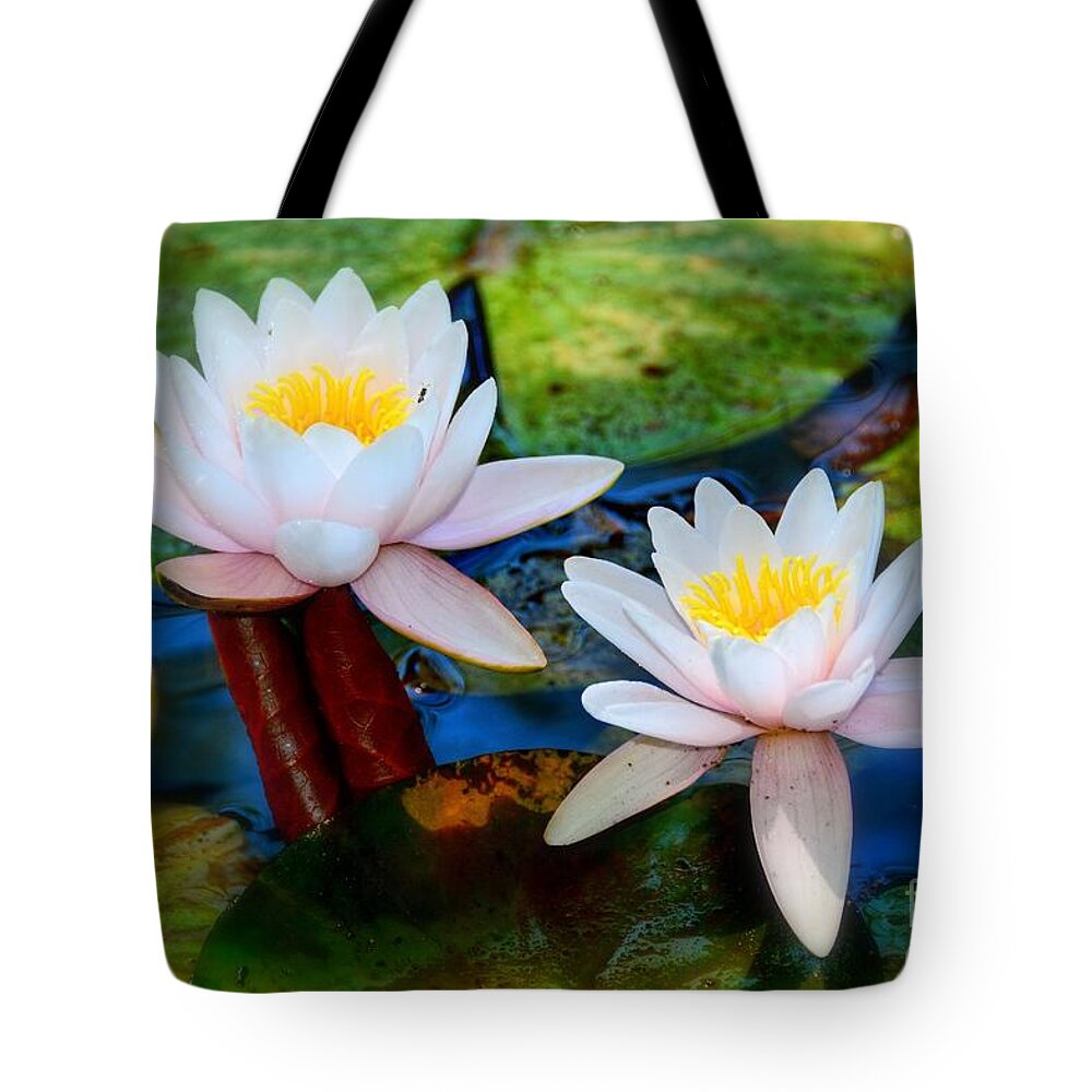 Pond Lily Tote Bag featuring the photograph Pond Lily by Patrick Witz