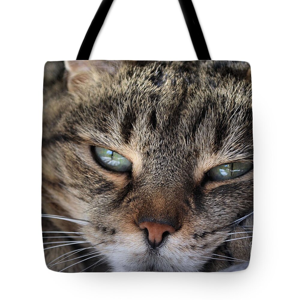 Photography Tote Bag featuring the photograph Ponder by Susan Smith