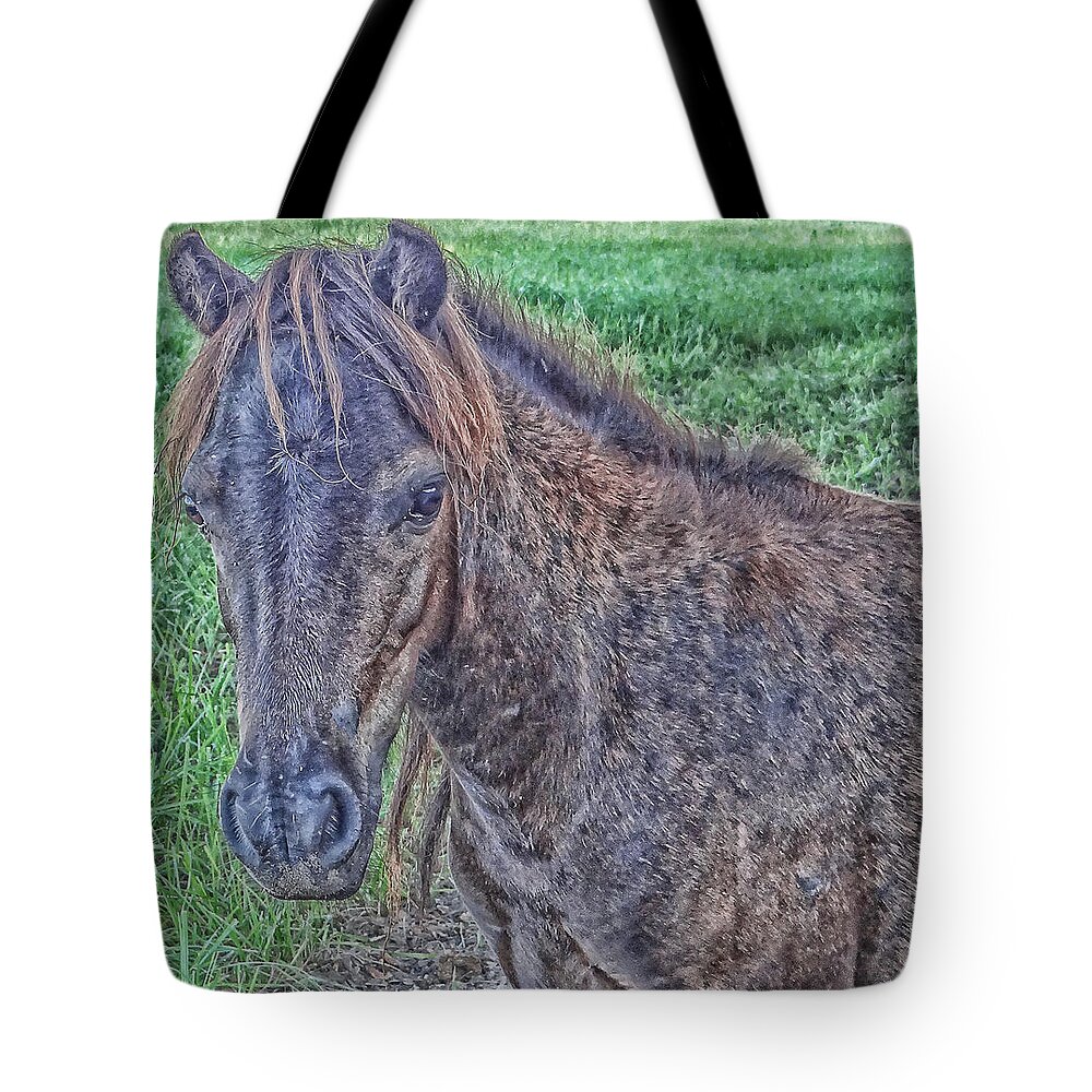 Pony Tote Bag featuring the photograph Pony by Dennis Dugan