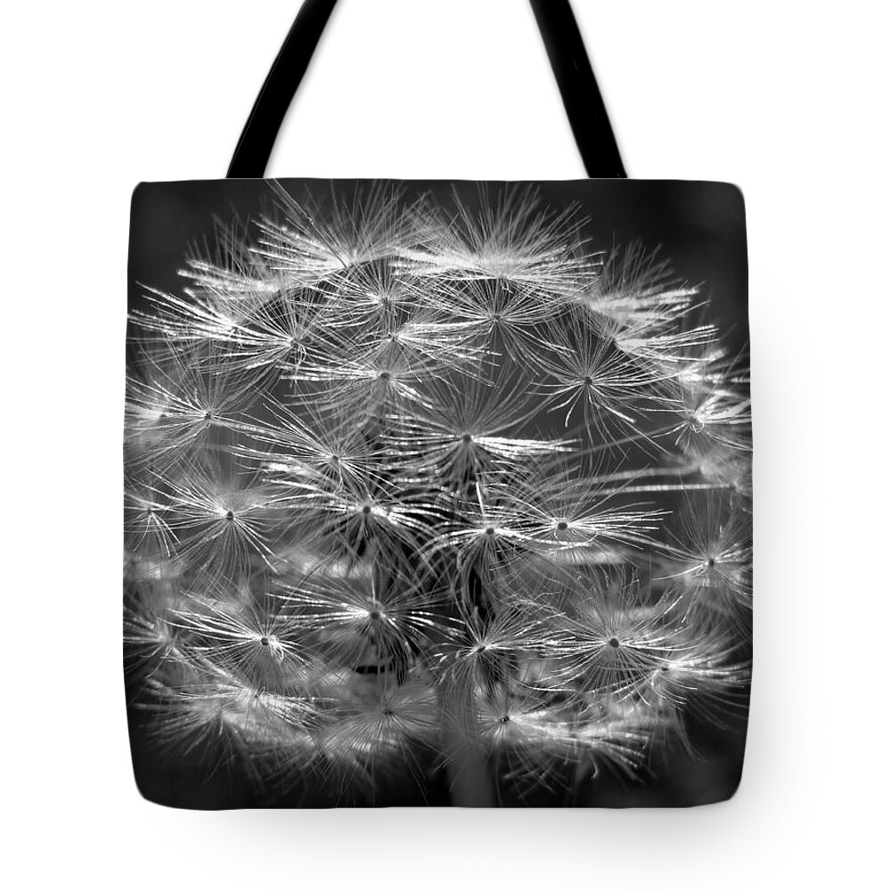 Skompski Tote Bag featuring the photograph Poof - Black and White by Joseph Skompski